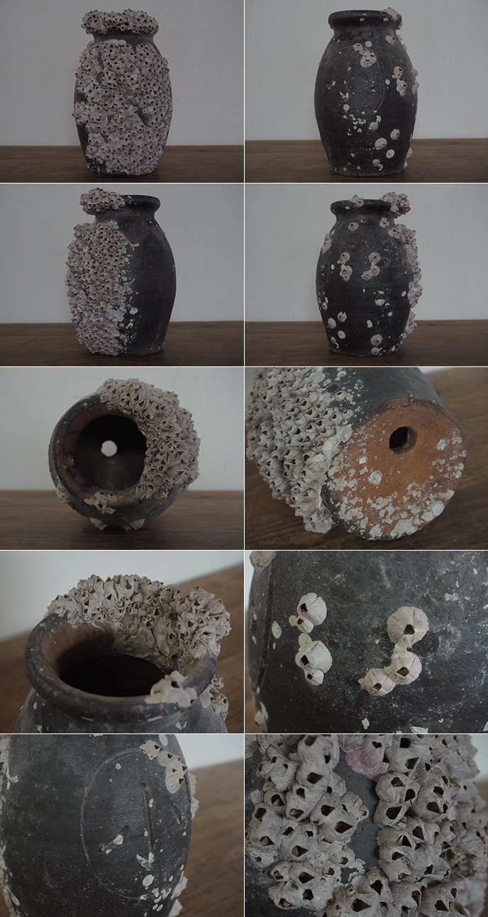 古道具 フジツボ付き 蛸壺 花器 | MANSIKKA antiquesMANSIKKA antiques