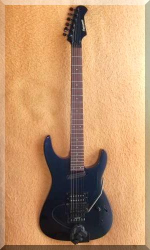 FERNANDES 型番不明(FR-XX)