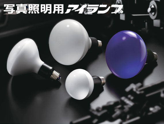 岩崎電気 PRF500WD｜写真照明用アイランプ電球の通販｜世界電器