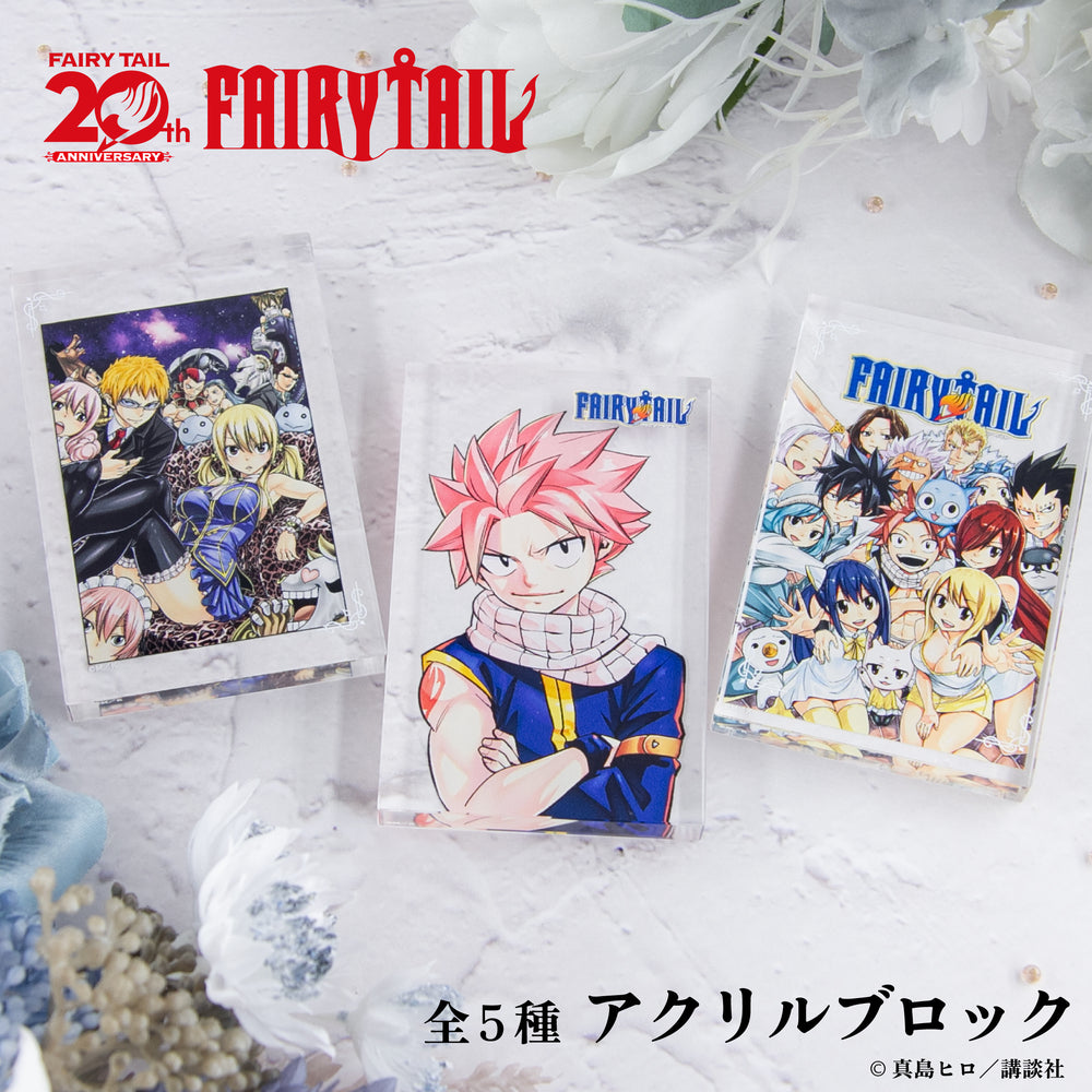 予約:3月上旬以降順次発送】 FAIRY TAIL 原作 アクリルブロック