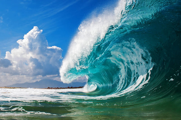 Juice - Clark Little Photography