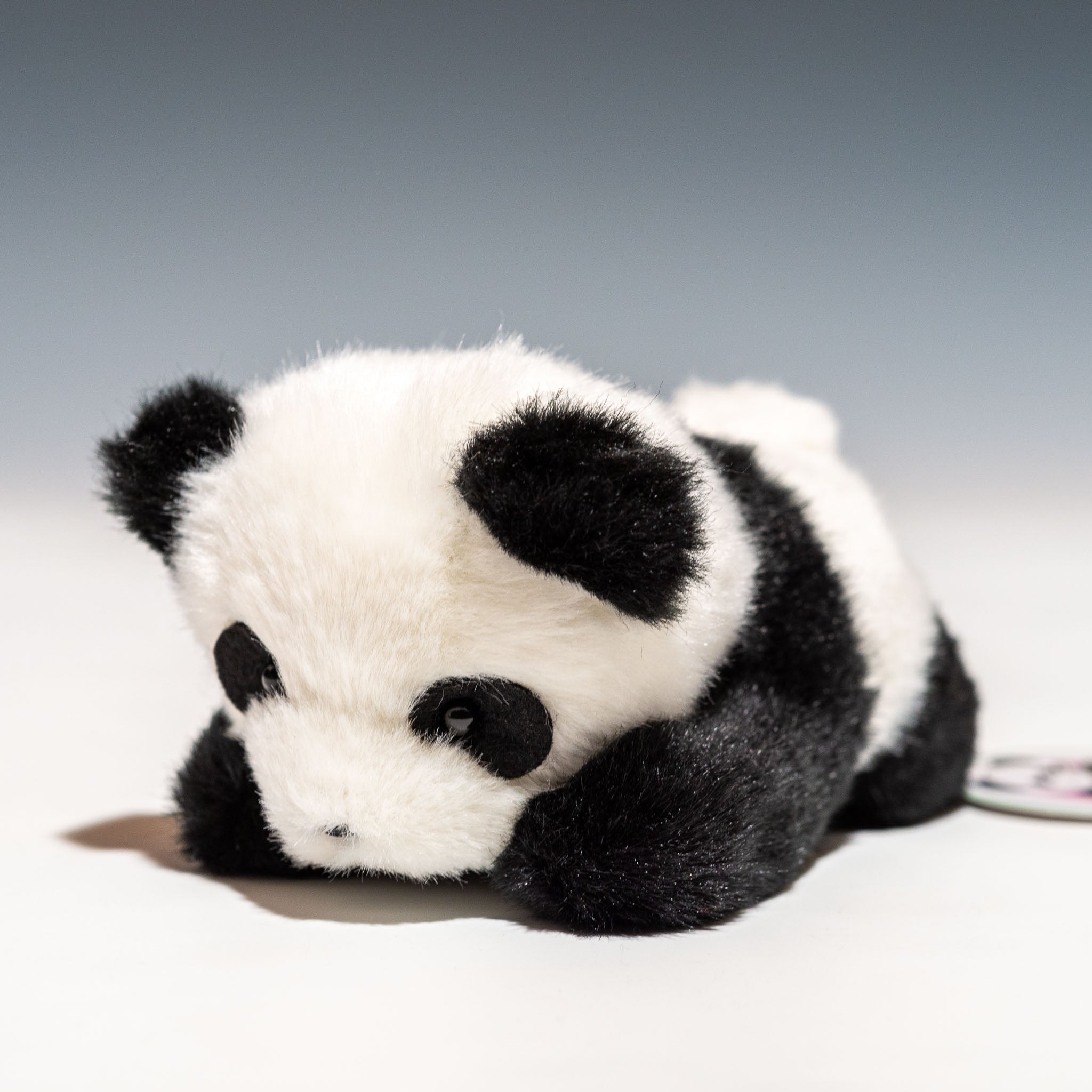 たけのこ TAKENOKO ぬいぐるみ プチパンダ (這い) 58625 - エステルノ