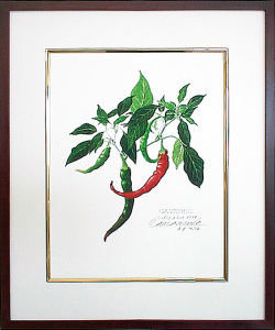 玉村豊男【ブドウの時間】 リザーブ ガレリア・フランジェリコweb