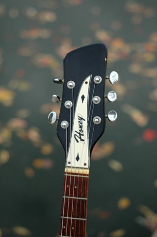 Honey Happening（ハニー ハプニング）