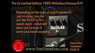 Review of the Pro Co RAT - 1985 Whiteface Reissue Limited Edition