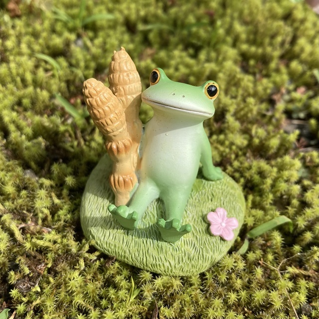 Copeau（コポー）つくしとカエル