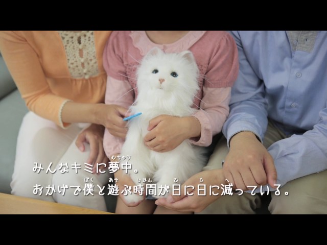 夢ねこプレミアム｜セガ フェイブ トイ製品情報公式