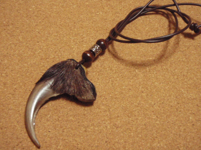 貴重！熊爪ネックレス！本物・ヒグマの爪・牙・魔よけ