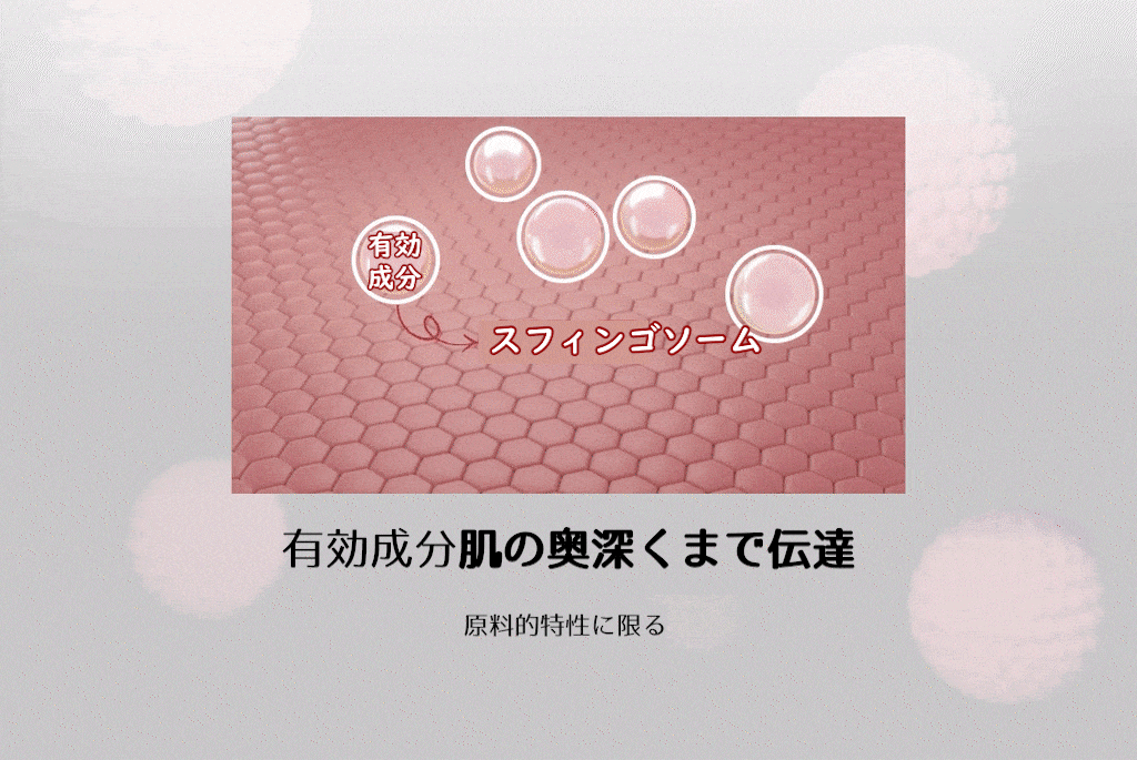 LAVIEN ミラクルステム99プログラム【ヒト幹細胞培養液99.6