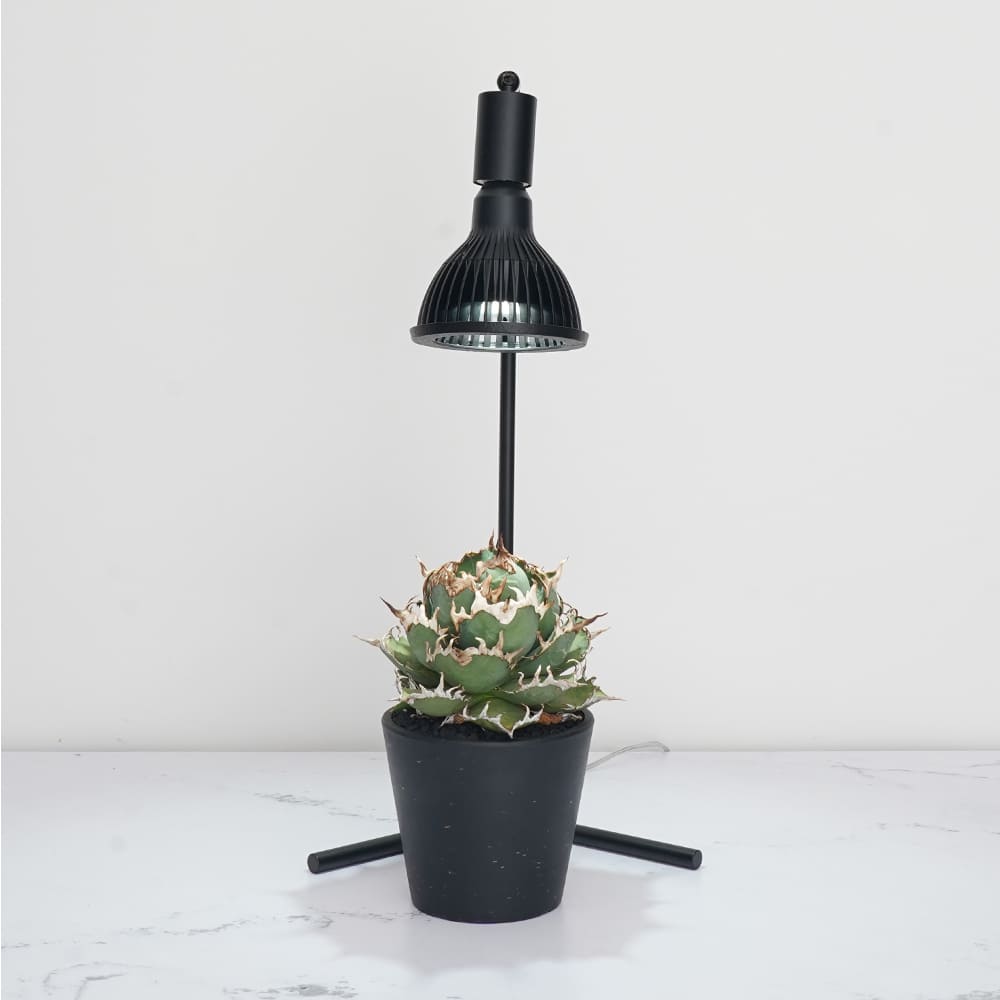 フロアーランプスタンド アコン 54cm（AKOND）LEDライトスタンド