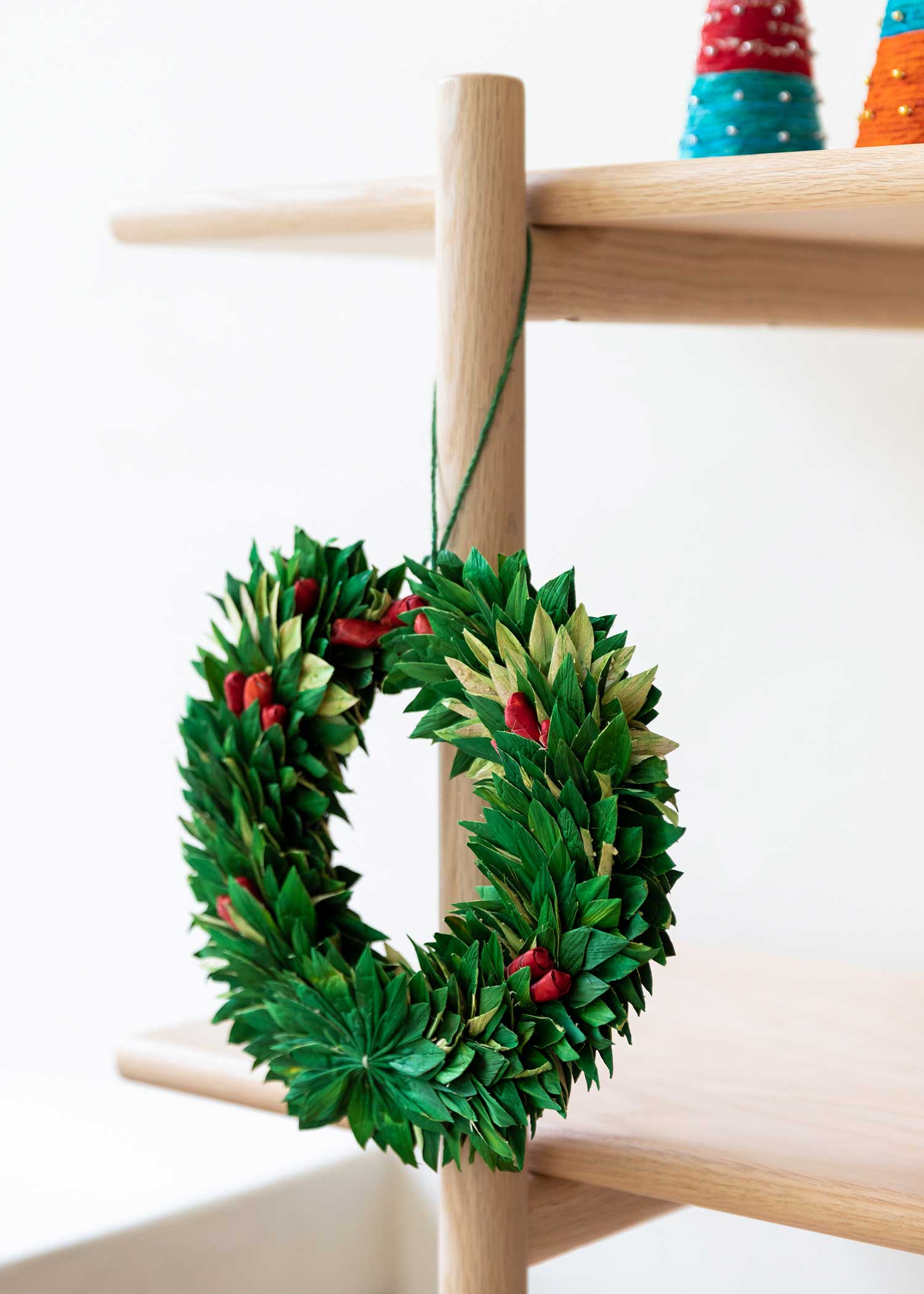 ホテイアオイのクリスマスリース