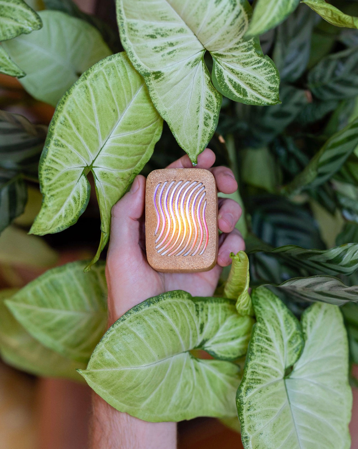 Buy the Original PlantWave Device | PlantWave