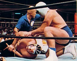 デストロイヤー 覆面10番勝負