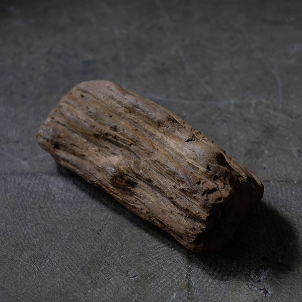木化石（珪化木） – zakka store towi