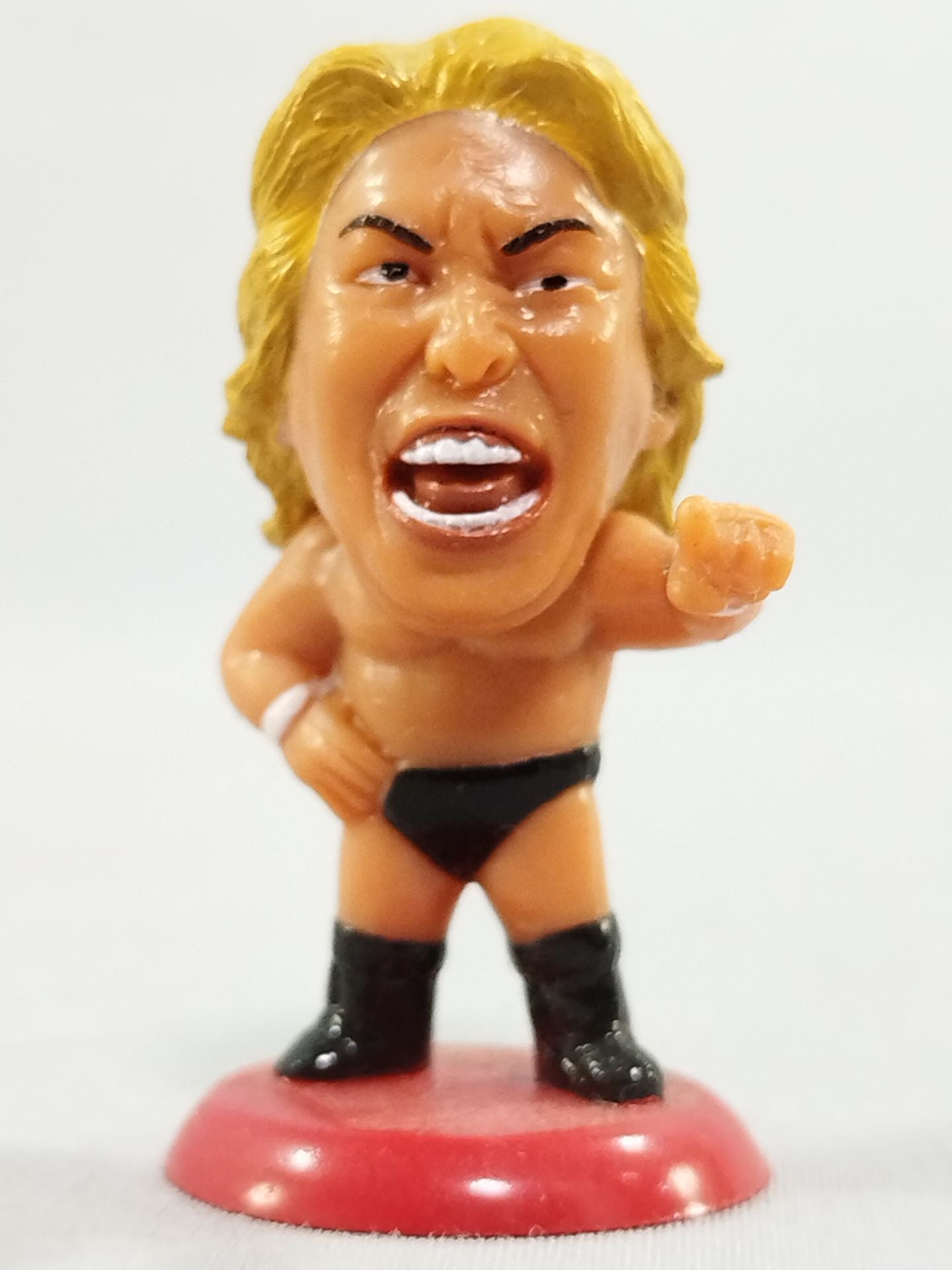 高山善廣(A) – 闘道館