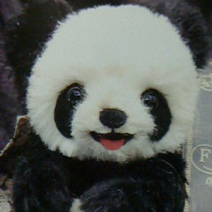 丸山 いくこ I'm Profile テディベア・アーティストミュージアム