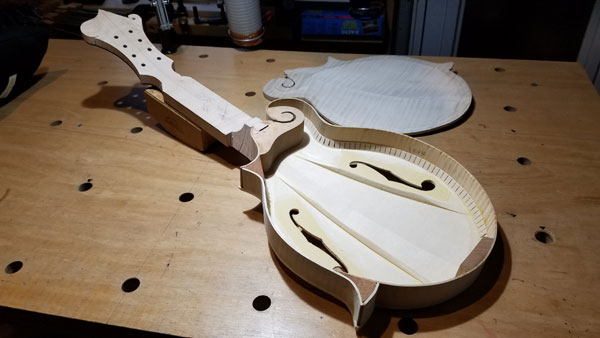 Woodman Instruments トピックス