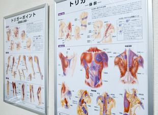 施術案内|ひたちなか医研 大谷バランス整体院|ひたちなか市|東海村