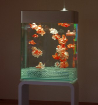 トピックス＜美しい人工クラゲ＞ | クラフトホリ