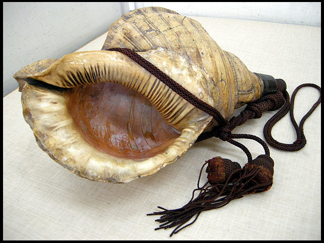 古いほら貝 法螺貝 山伏 骨董 時代ホラガイ | 中古品・不用品の高価