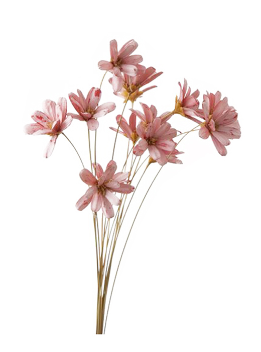 大地農園・プチフラワー・ピンク(32140-100) | プリザーブドフラワーKnext