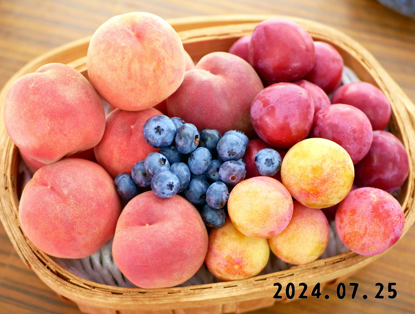 森果樹印のくだもの日記☆2024夏－ようこそ、森の中の果樹園へ