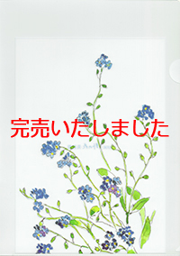 深沢紅子 クリアファイル – 深沢紅子 野の花 美術館