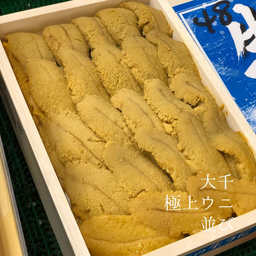 大千 極上 生ウニ 並び 250g 青森県大間産ムラサキウニ（白ウニ
