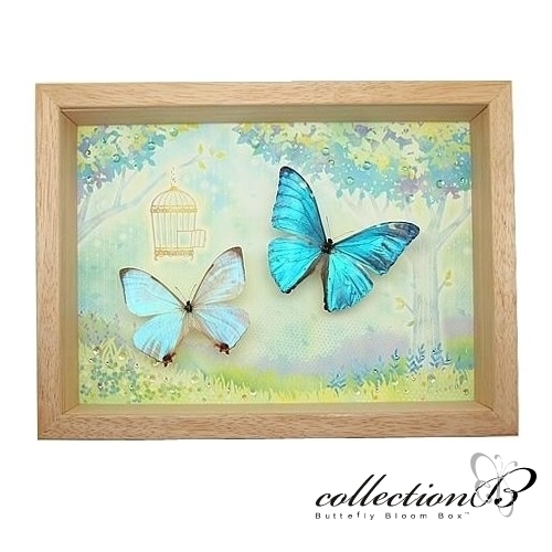 送料無料】蝶の標本(インテリアアート・アートボード) collectionB