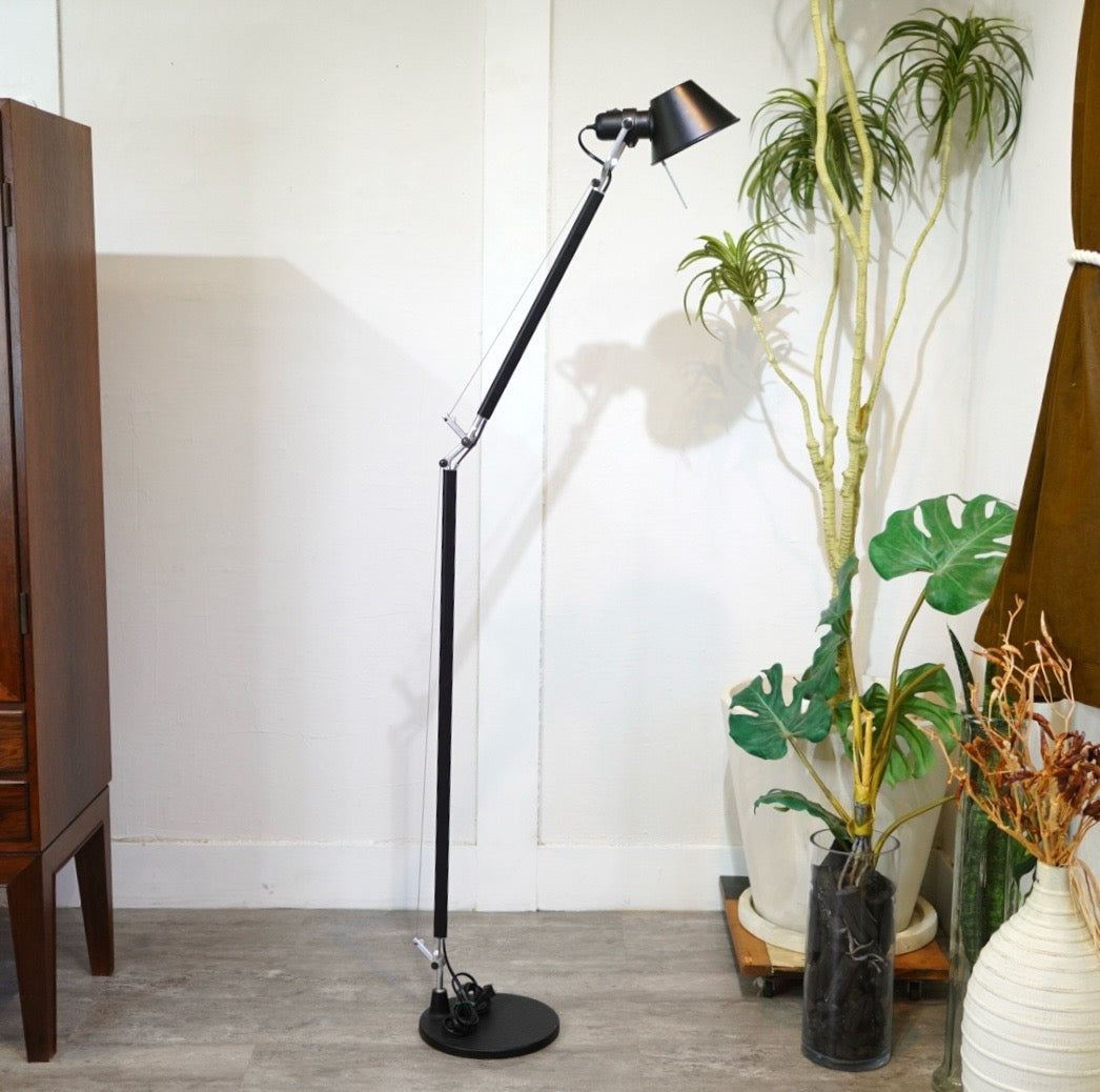 アルテミデ / Artemide トロメオ / TOLOMEO リーディング フロアライト