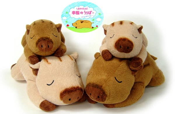 商品紹介 イノシシ 招きうり坊 ベィビーウリ 幸福のうりぼー しあわせ