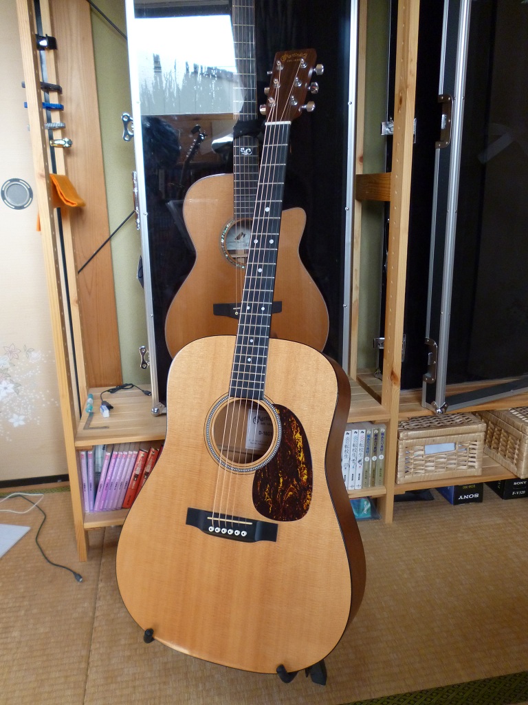 Martin D-16GT 紹介 解説 仕様 マーティン マーチン スプルース