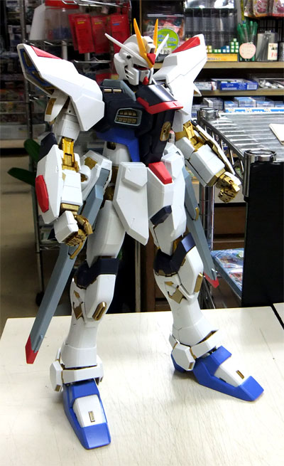 PG ストライクフリーダムガンダム ～その5～ | メリクリウスの杖