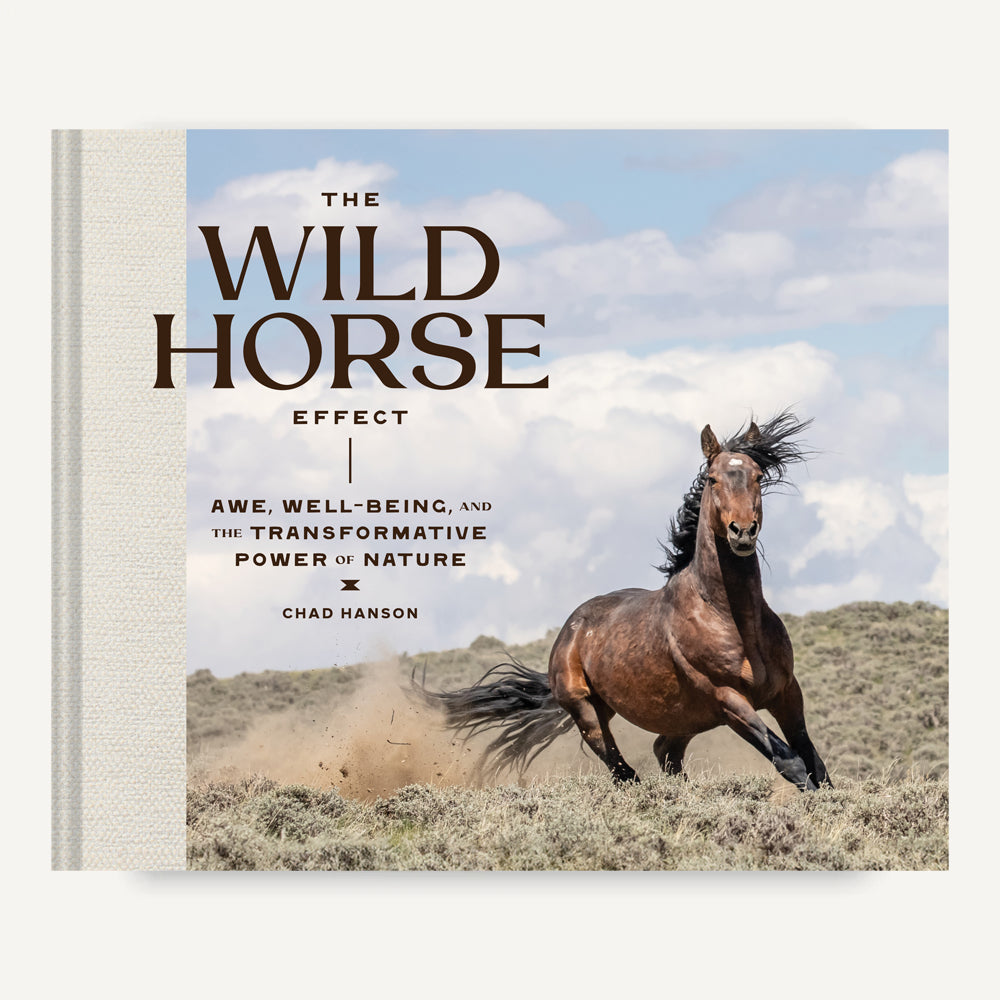Wild Horse Effect – Chronicle Books