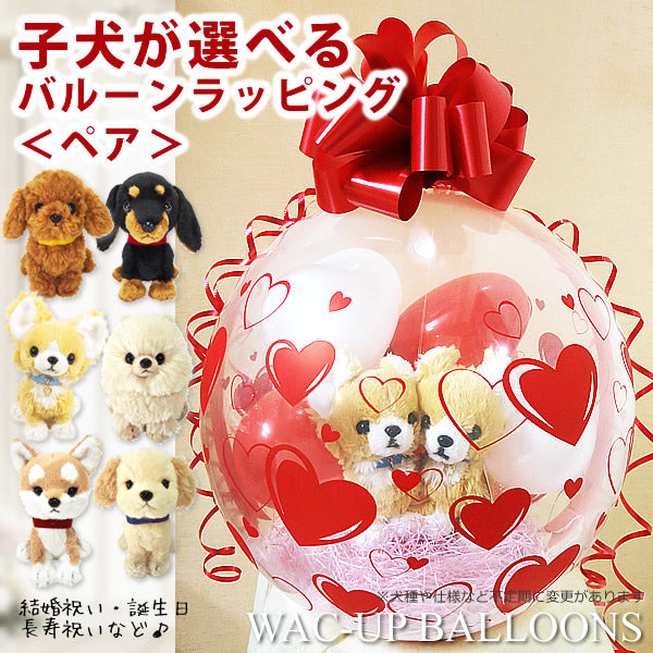 WPPPXX1WRD_main.jpg?v=1676941584