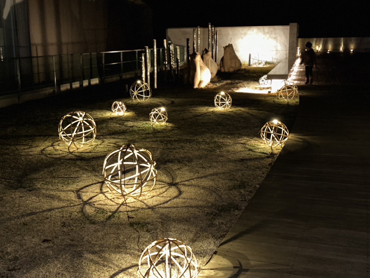 夜の公園に浮かび上がる幻想的な竹のライトアップ、平山郁夫シルク