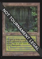 Bayou (IE) - International Edition - Magic: The Gathering