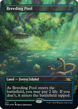 Breeding Pool (Borderless) (Galaxy Foil) - Unfinity - Magic: The