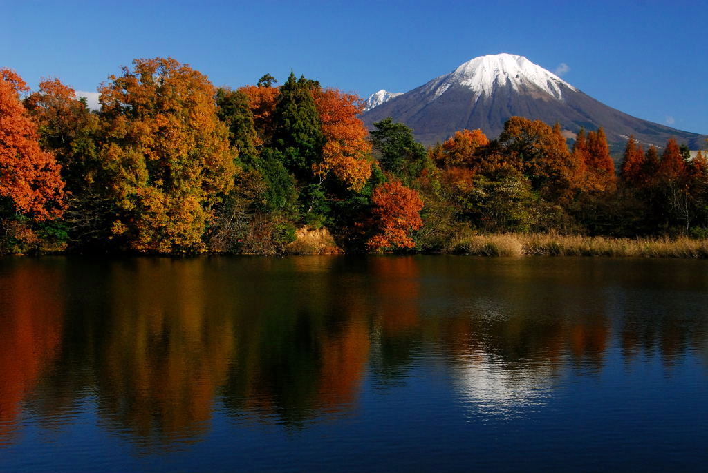 全国紅葉の絶景】名峰「大山」が七色に染まる、鳥取県の紅葉人気