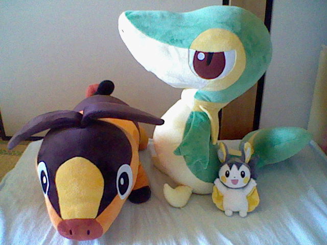 ツタージャ、ポカブの等身大ぬいぐるみ: たくとのコンペイトウ村日記