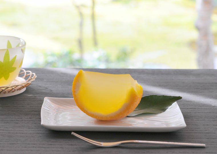 白磁さらさ（はくじさらさ） 白磁さらさ 銘々皿〈5枚〉 美濃焼 |皿や鉢