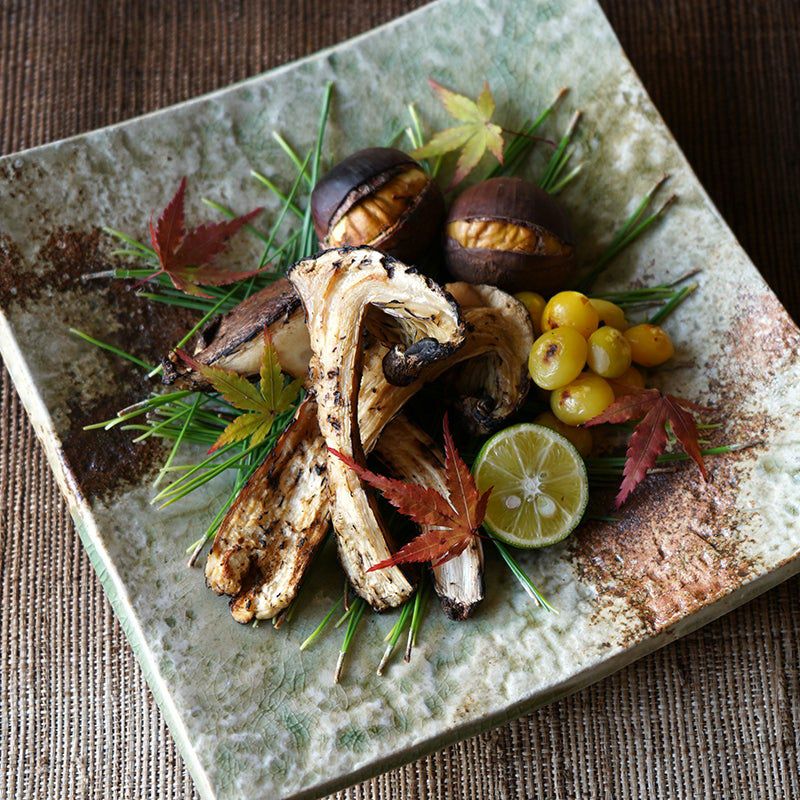 シリーズ以外・その他 松禄 角皿〈1枚〉 伊賀焼 |皿や鉢など和食器の