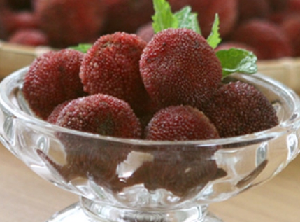 幻の果物「やまもも」の通販。