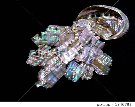 鮑貝と螺鈿細工用(漆技法)の青貝(鮑貝)から削りだしたプレートの写真