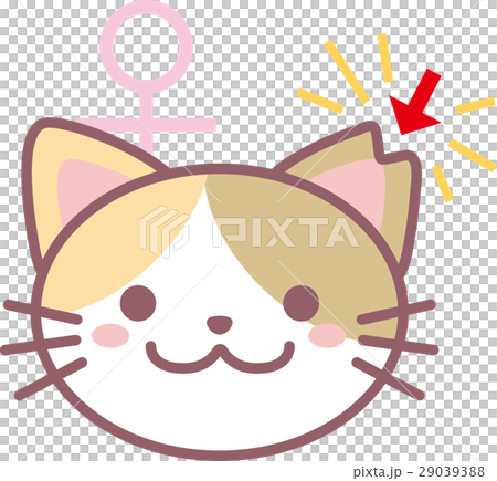 さくら猫のイラスト素材 [29039388] - PIXTA