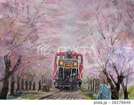 花電車 嵐電 桜のイラスト素材 [38276646] - PIXTA