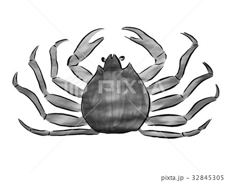 蟹 ＜水墨画の魚介類＞のイラスト素材 [32845305] - PIXTA