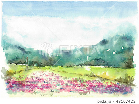 レンゲ畑の田舎の風景画のイラスト素材 [48167425] - PIXTA