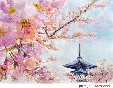 仁和寺 お室桜 水彩画 京都 桜 世界遺産のイラスト素材 [48295999] - PIXTA