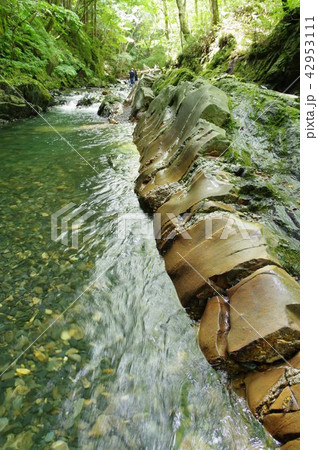 信州 辰野町 横川渓谷の蛇石（じゃいし） 世界に類例がない貫入岩脈 国